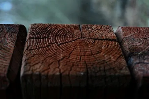 Wood End Grain – | TimeWorn Wood