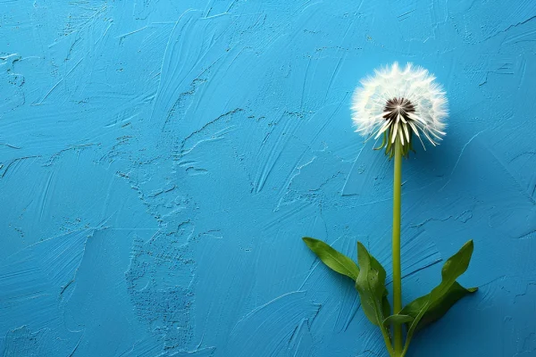 2025 Design Trends cover photo. Beautiful blue background with a dandelion in the front.